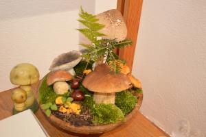 Jesenska razstava gob razkrila bogastvo gozdov 4